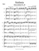 Sinfonia from Cantata No. 29 (J. S. Bach)