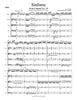 Sinfonia from Cantata No. 29 (J. S. Bach)