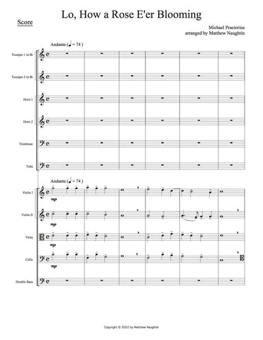 "Lo, How a Rose E'er Blooming" (Michael Praetorius)