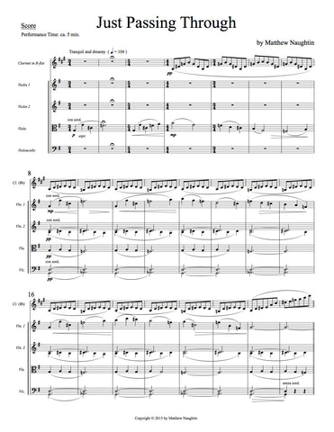 "Just Passing Through" for Clarinet & String Quartet (Matthew Naughtin)